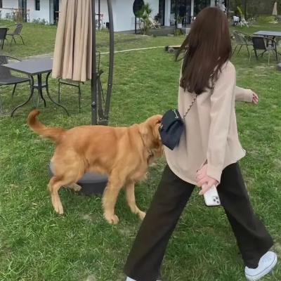 糖精